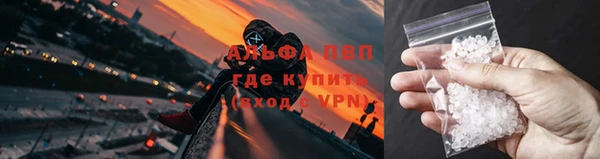 мяу мяу мука Козельск