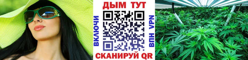 Купить Дудинка Шишки марихуана сатива
